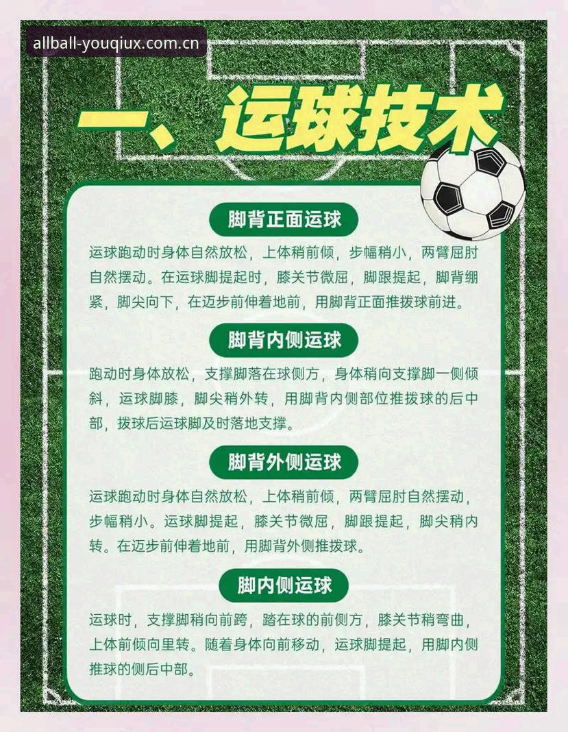 资深用户深度解析：有球体育历史版本演进中的实用心得与数据洞察