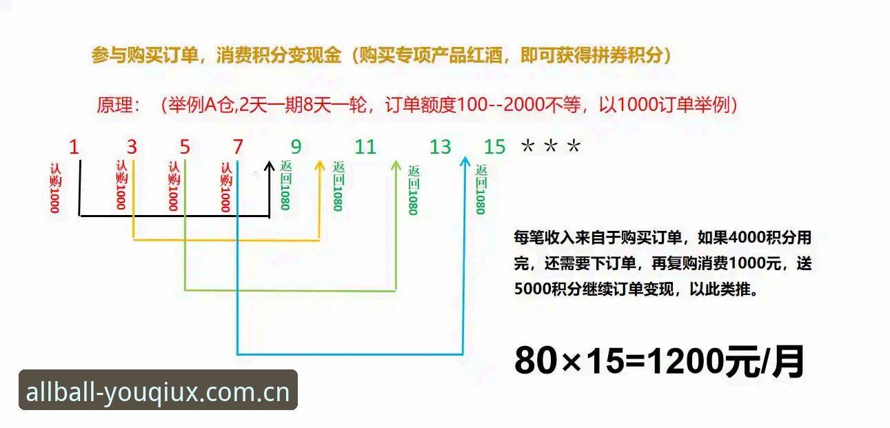 有球体育用户评价安装失败 深度揭秘:有球体育用户评价安装失败背后的真相与解决方案